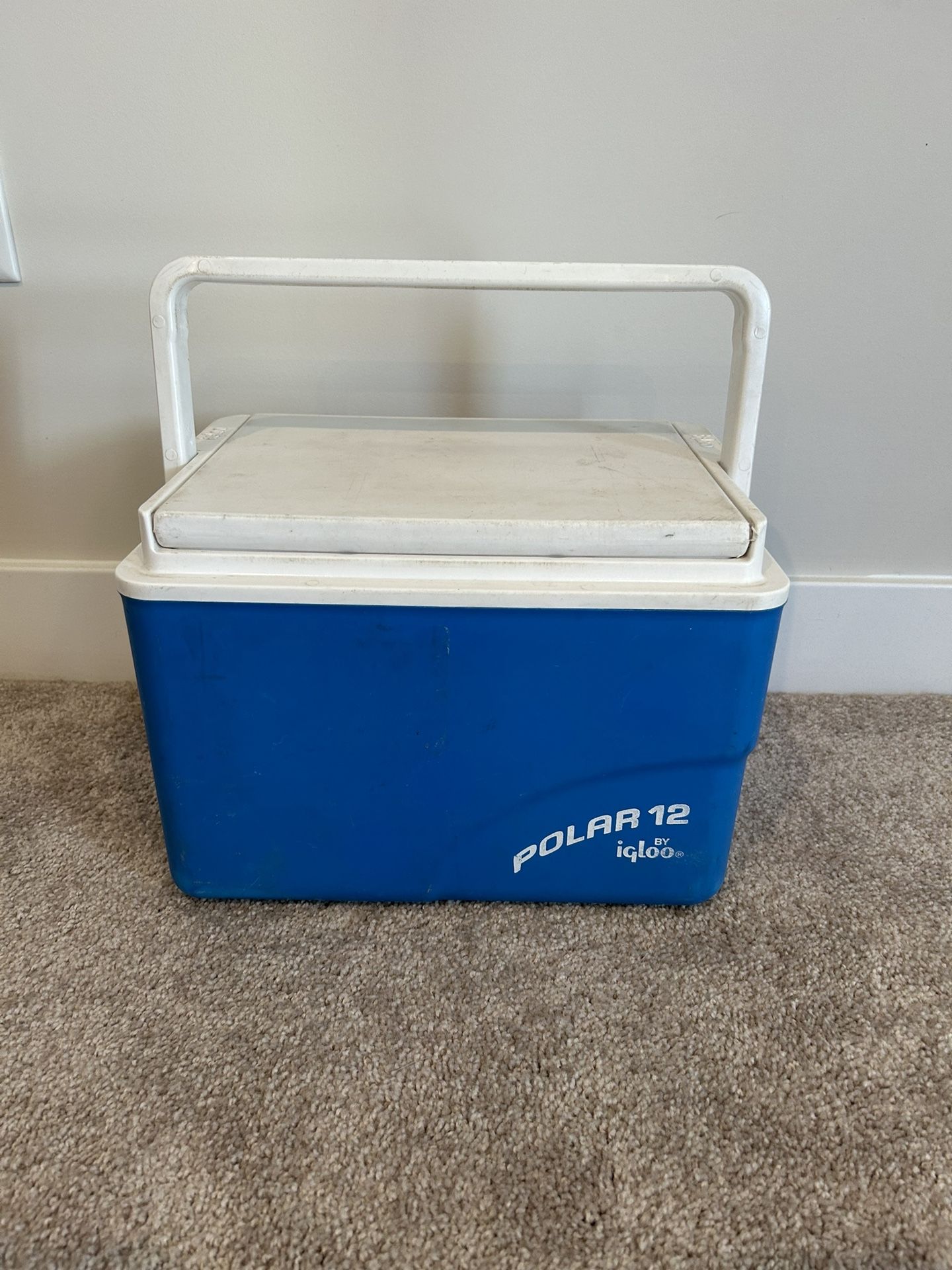 Igloo Cooler