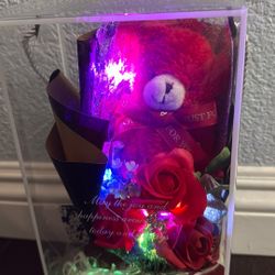 Bear Gift