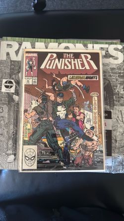 The Punisher 20
