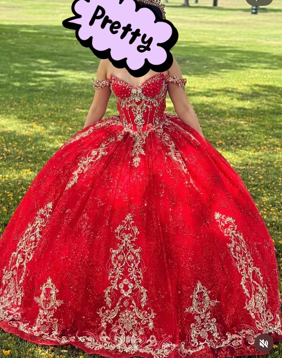 Quincenera Beautiful Dress