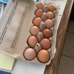 Fresh Eggs 