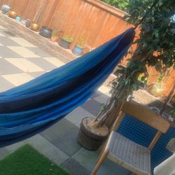 Hammock 