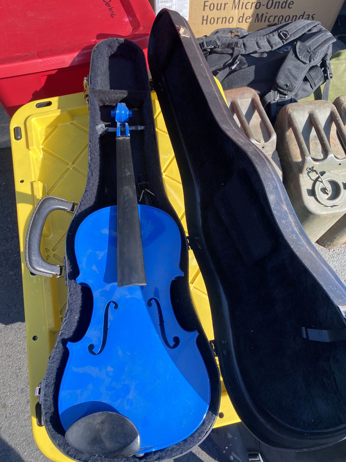 Violin With Case