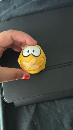Toy