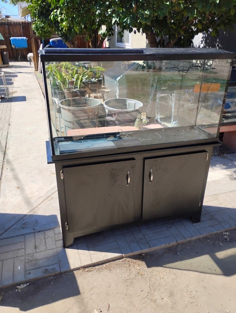 70gal Fish/Reptile Tank