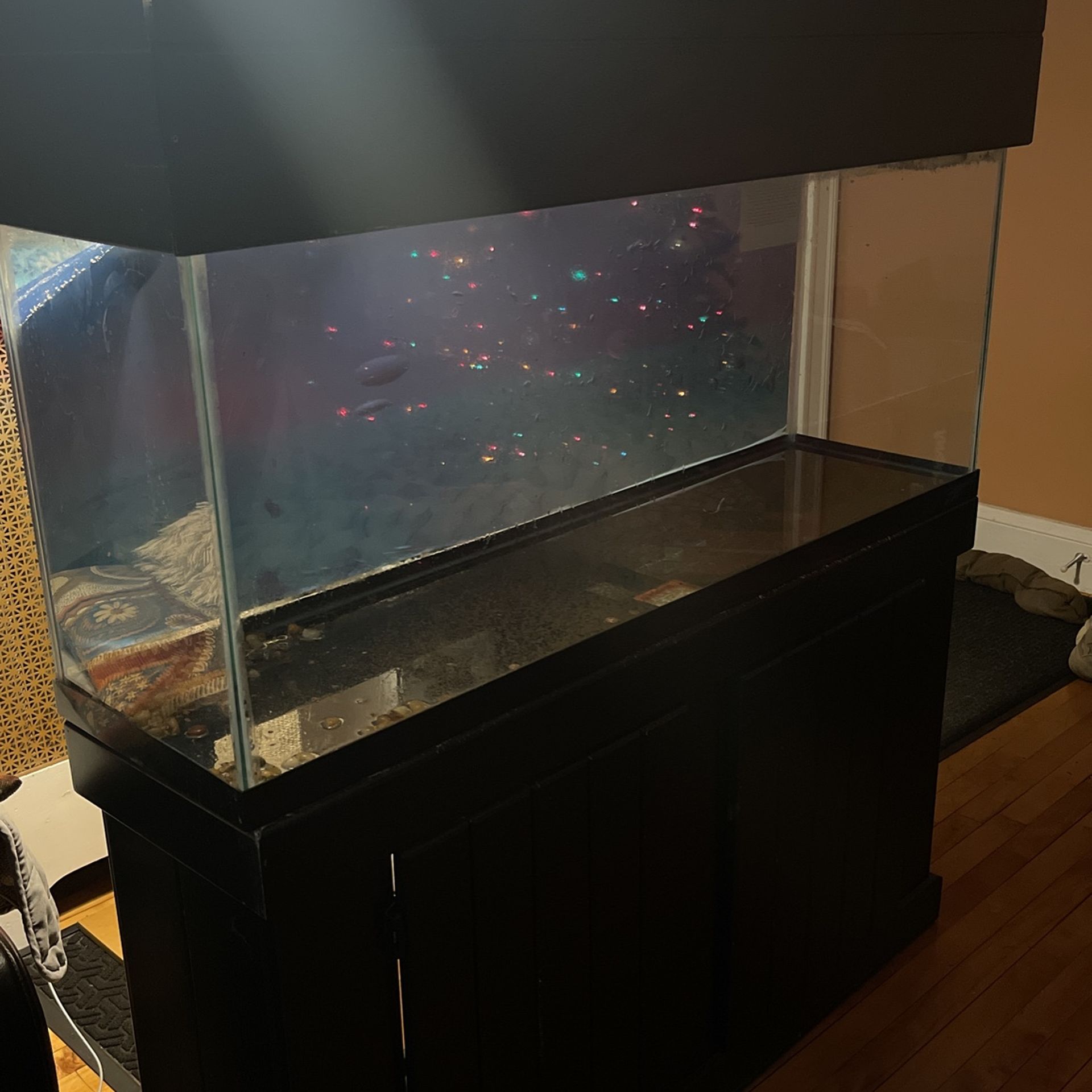 55 Gallon Fish Tank With Stand/Cover