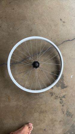 Trek Kids' 28 Hole 24˝ 6-Bolt Disc Wheel