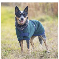 Dog “Blanket” Coat