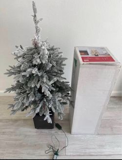 4-foot At Home Bradley Spruce pre-lit potted tree