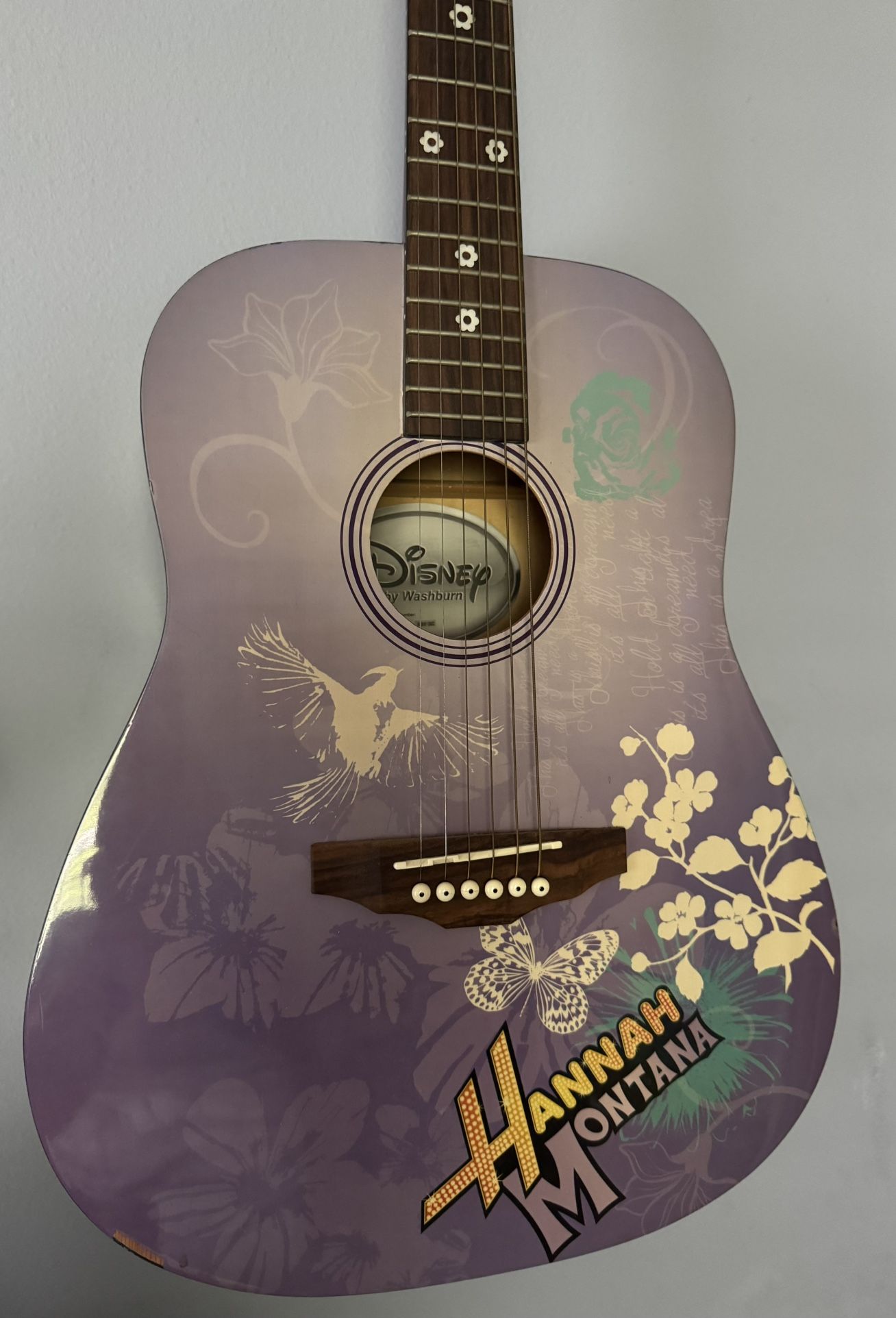 Washburn Acoustic Guitar ~ Disney Hannah Montana