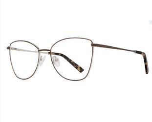 Brown And Gold Eyeglasses Frame 