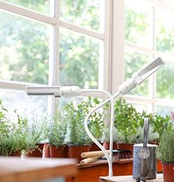 Let Your Plants Think It's Sunny All Day, Every Day!!