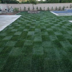 Sod And Sprinklers