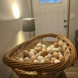 Fresh Eggs For Sale 
