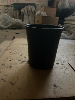 1-gallon nursery pot