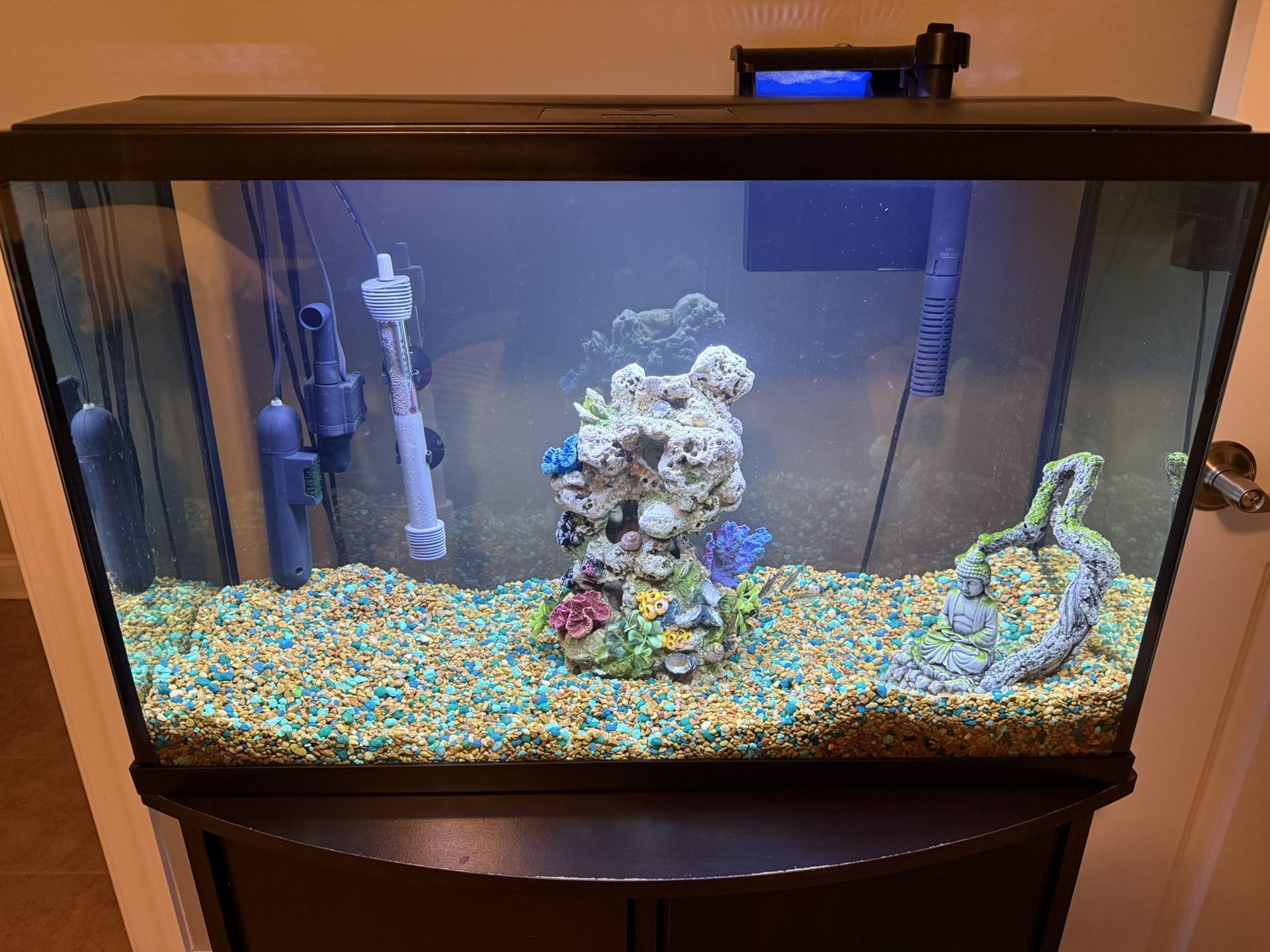 Fish Tank