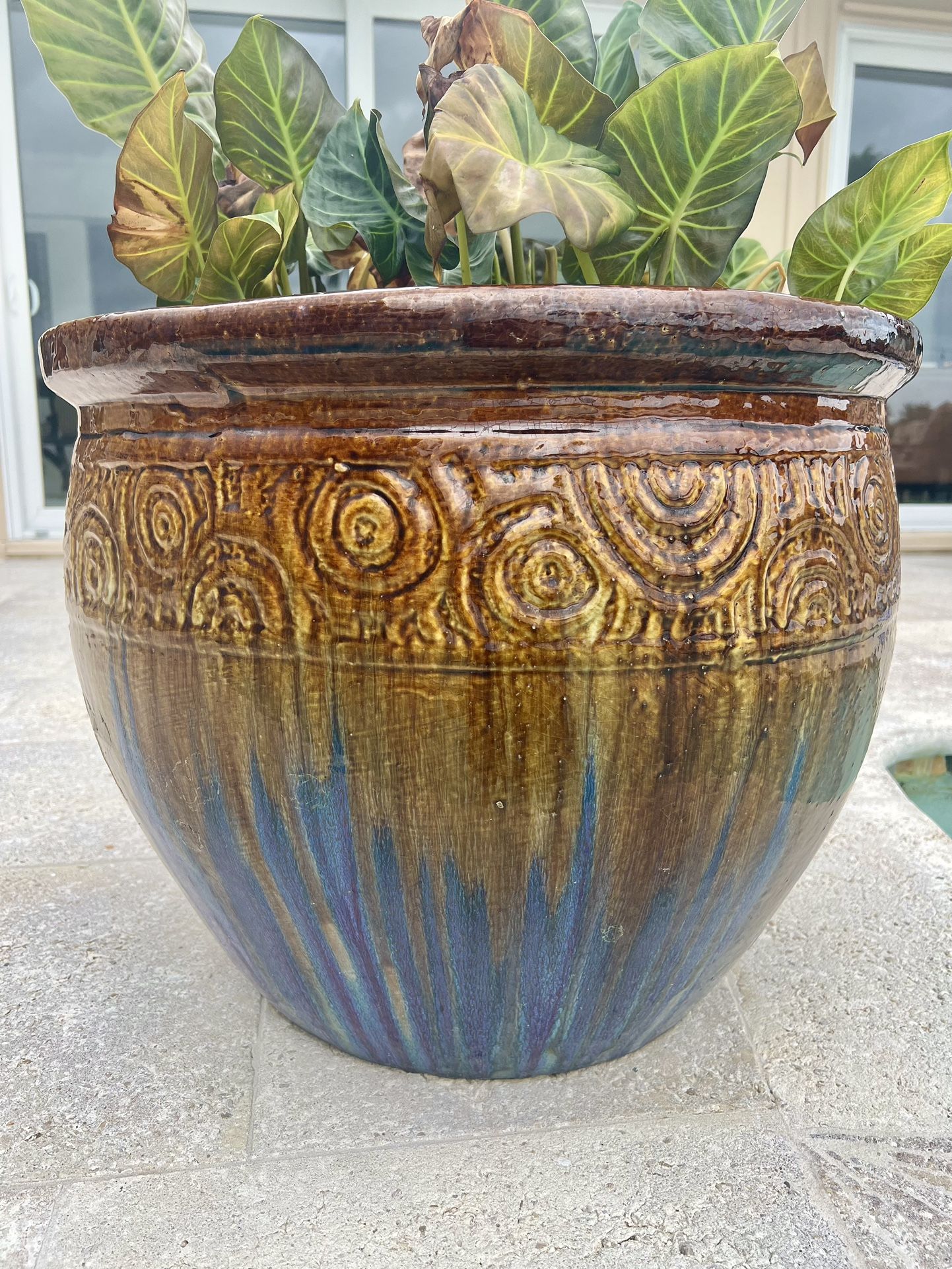 Large Pot