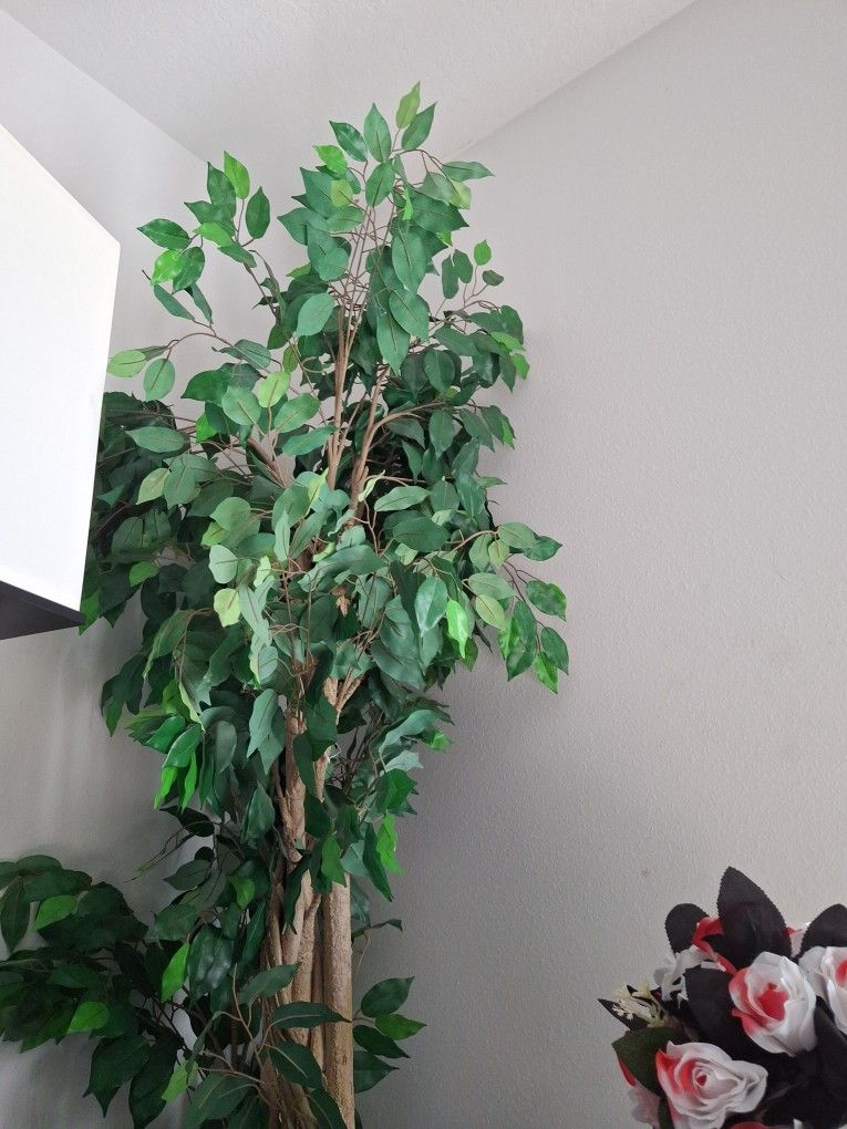 Faux Plant