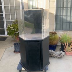 Acrylic aquarium, hexagon shaped fish tank