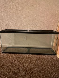 55 gallon fish tank