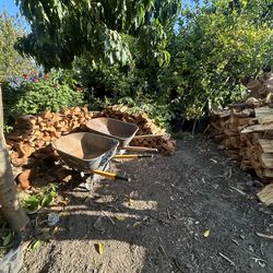 Eucalyptus firewood for sale hmuu🪵📲