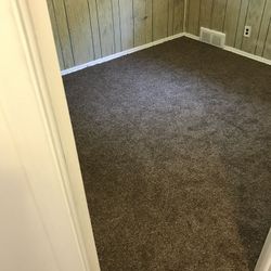 Fresh New Carpet 2026