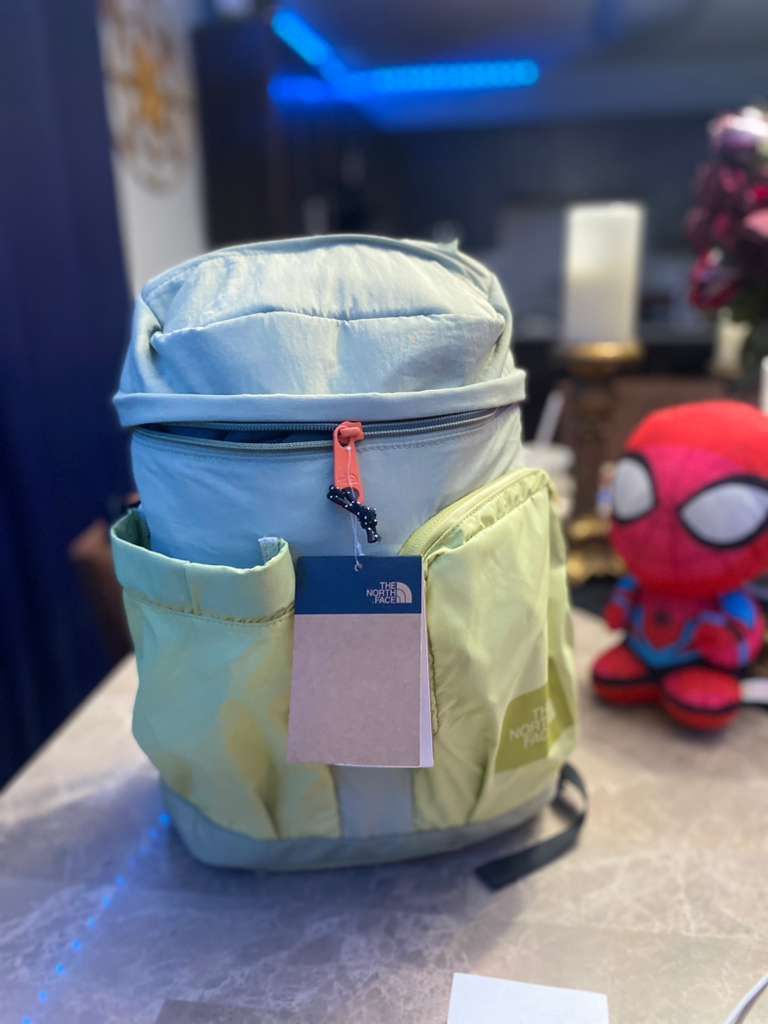 The North Face Mountain Daypack Small Adult Unisex [Tea Green/Weeping Willow] [18L]