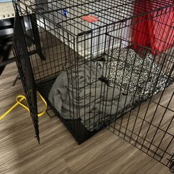 Kong Brand Large Dog Crate