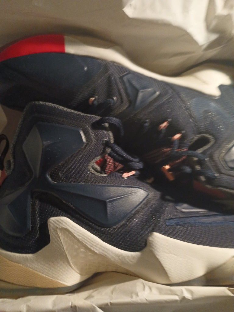 Like New Nike LeBron 13 Luxbron Size 10 for Sale in Brooklyn NY
