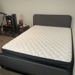 Queen bed Frame 