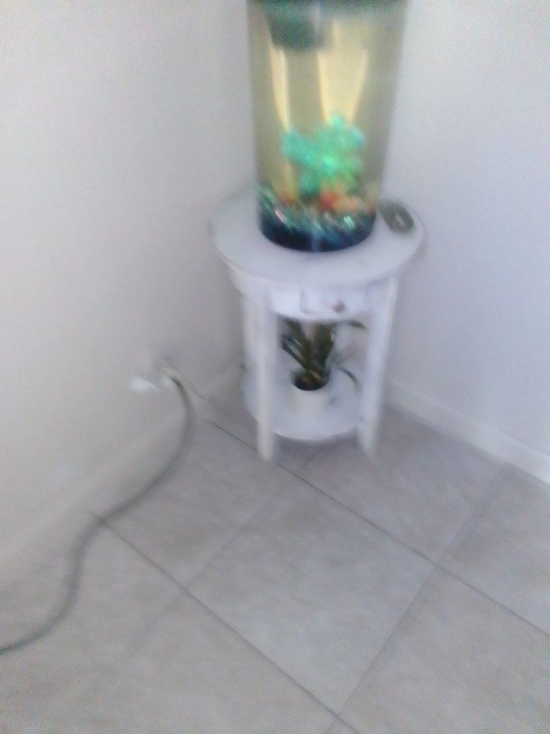 The Fish Tank And Table