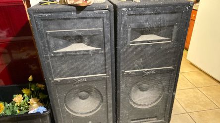 Karaoke speakers