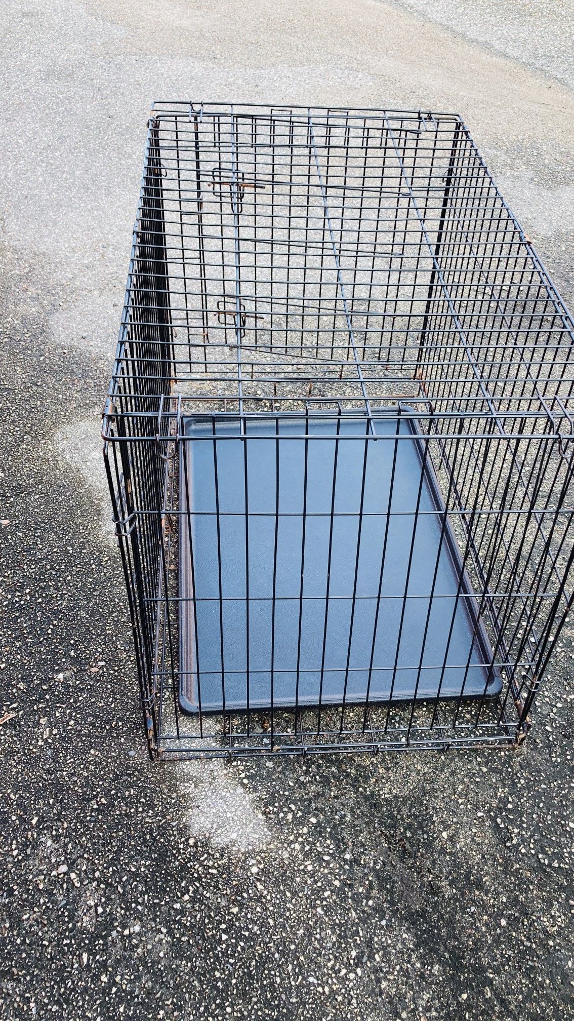 Large dog crate