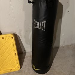 Everlast Heavy Bag