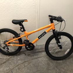 Youth Raleigh Rowdy 20 Inch Bike