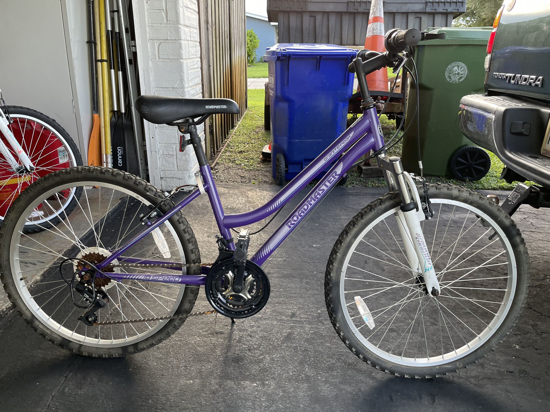 Purple Roadmaster 24 Inch Bike 