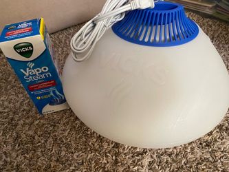 Steam vaporizer