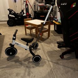 Toddler Tricycle With Push Handle