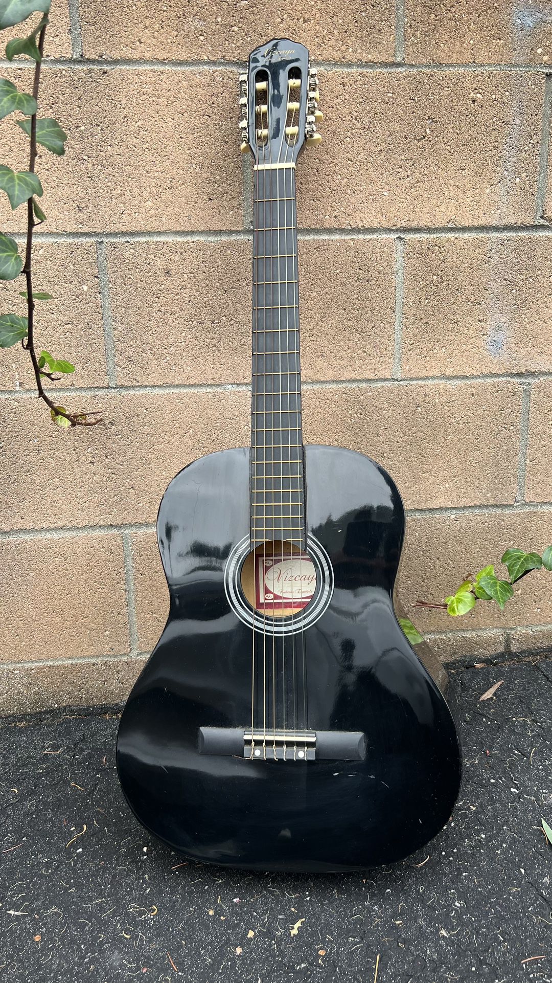 Vizcaya Acoustic Guitar