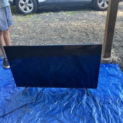TV Or Computer Monitor — Huge!