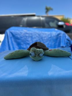 Sea turtle plushie