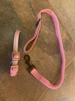 Dog collar and leash