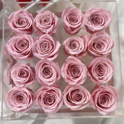 Valentine Day Roses 