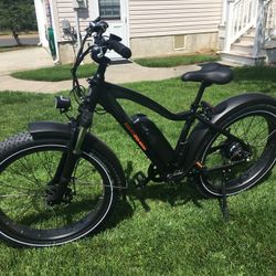Rad Rover E Bike
