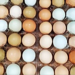 Fresh Organic Eggs