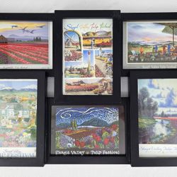 Vintage Skagit Valley Tulip Festival Art Postcard Collection