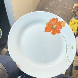 Dinner & salad plates