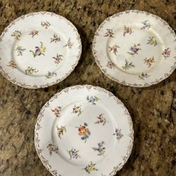 Dresden  Porcelain Plate (3) Floral Design 6” Wide, Beautiful Piece