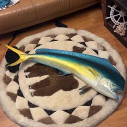 Beautiful Mahi fish Mount wall decor