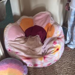 Bean bag 5 back pack 3